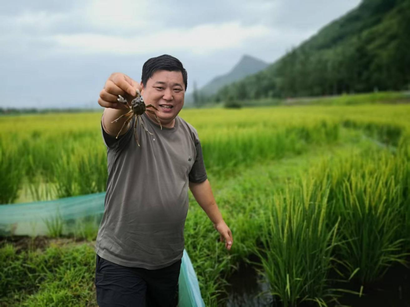 包子漫画
| 造福桑梓 岁丰年稔——记本溪市桓仁满族自治县辽宁省福满田园科技实业有限公司董事长初树东